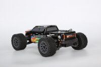 FastTruck Mini - 1/16 RTR - Aktion!