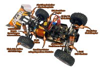 BL06-Brushless 1:14 RTR Buggy-RTR