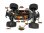 Z-10 Competition Truggy BR - brushed RTR