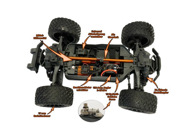Z-10 Competition Truggy BL - brushless-Aktion!