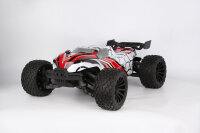 Z-10 Competition Truggy BL - brushless-Aktion!