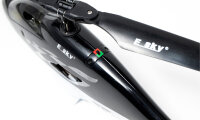 ESKY 300 V2 - RTF (Mode 2)