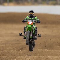 Promoto-MX 1/4 Motorcycle RTR