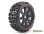 LOUISE B-Pioneer soft Speichen-Felge schwarz 1:8