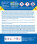 blau, matt RAL 5000 14 ml-Dose