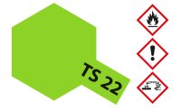 TS-22 Hellgrün glänzend 100ml