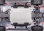 Ford Fiesta ST Rally 4x4 BL-2S 1:10 RTR Blau