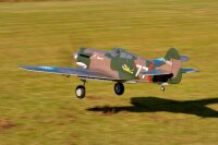 FMS P-40B Curtiss Warhawk Flying Tiger PNP - 140 cm