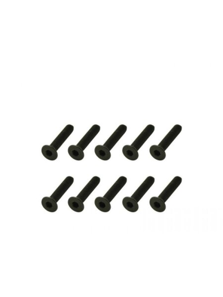 Screw allen countersunk M3x15 (10)