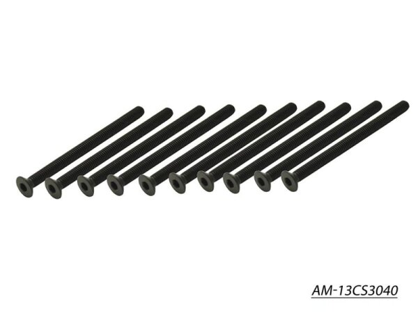 Screw allen countersunk M3x40 (10)