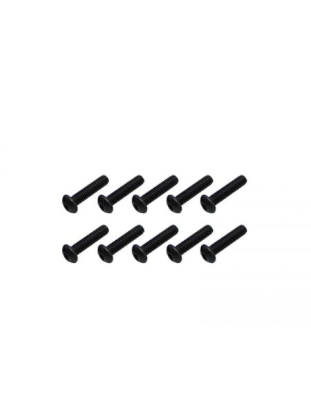 Screw allen roundhead M3x10 (10)