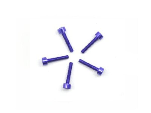 Alu Screw allen cilinder head M2.2x12 Purple (7075) (5)