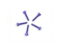 Alu Screw allen cilinder head M2.2x12 Purple (7075) (5)