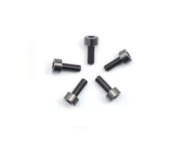 Alu Screw allen cilinder head M3x8 Gray (7075) (5)