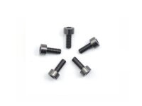Alu Screw allen cilinder head M3x8 Gray (7075) (5)