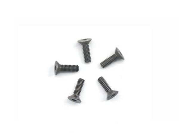 Alu Screw allen countersunk M2.5x8 Gray (7075) (5)