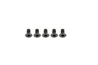 Alu Screw allen countersunk M3x6 Gray (7075) (5)