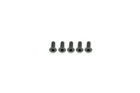 Alu Screw allen countersunk M3x8 Gray (7075) (5)