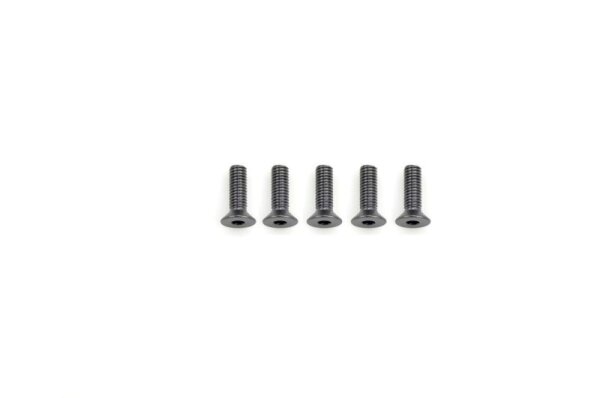 Alu Screw allen countersunk M3x10 Gray (7075) (5)