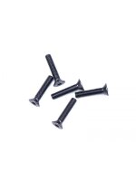 Alu Screw allen countersunk M3x15 Gray (7075) (5)