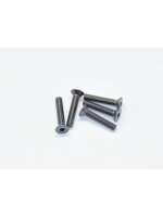 Alu Screw allen countersunk M3x16 Gray (7075) (5)
