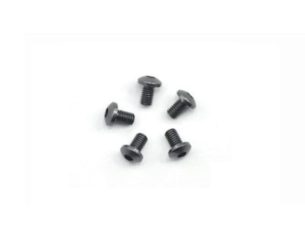 Alu Screw allen roundhead M3x5 Gray (7075) (5)