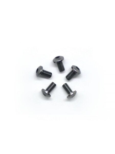 Alu Screw allen roundhead M3x6 Gray (7075) (5)
