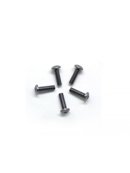 Alu Screw allen roundhead M3x10 Gray (7075) (5)