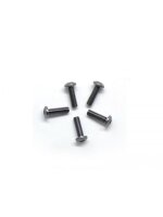 Alu Screw allen roundhead M3x10 Gray (7075) (5)