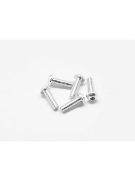 Alu Screw allen roundhead M3x10 Silver (7075) (5)