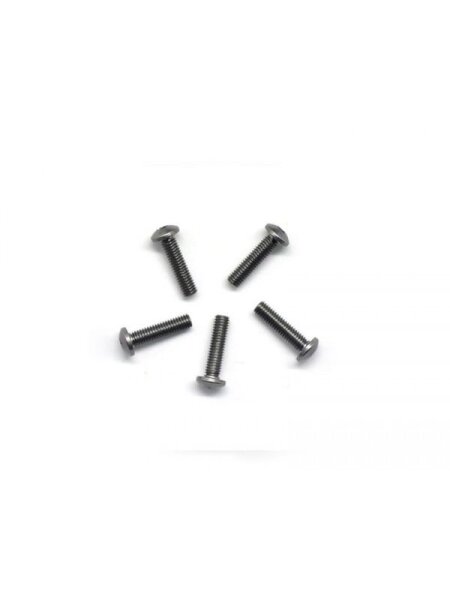 Alu Screw allen roundhead M3x12 Gray (7075) (5)