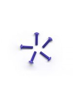 Alu Screw allen roundhead M3x12 Purple (7075) (5)