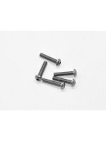 Alu Screw allen roundhead M3x14 Gray (7075) (5)