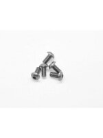 Alu Screw allen roundhead M4x8 Gray (7075) (5)