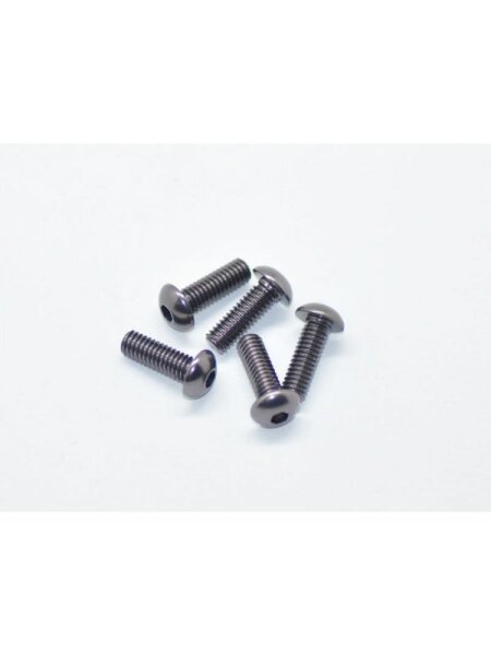 Alu Screw allen roundhead M4x12 Gray (7075) (5)
