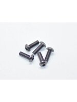 Alu Screw allen roundhead M4x12 Gray (7075) (5)