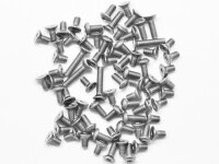 Titanium Screws Set For Serpent  F110 (76)