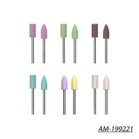 AM-199221 SGS 12 Polishing bits