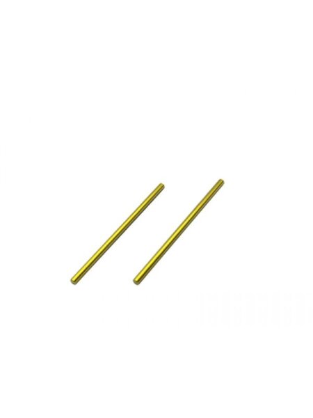 FRONT LOWER ARM SHAFT (spring steel) (2)