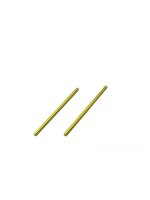 FRONT LOWER ARM SHAFT (spring steel) (2)