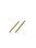 Rear Lower Inner Pivot Pin  F/R- Tini (Spring Steel) (2)