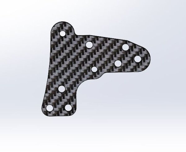 WTF-1 DS Tweak Brace-CF (1)