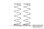 Off-Road Federn Set PROGRESSIVE MEDIUM, ID 20.1mm, L=69mm 2