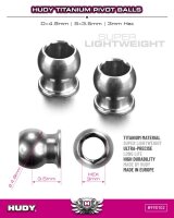 TITAN PIVOT BALL D=4.9 / S=3.5 / 3mm HEX (2)