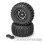 Magmas Reifen medium auf Felgen schwarz 24mm (2)