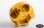 SLVR 19mm Universal Hex for 40 Series and Clod Wheels