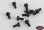Steel Socket Head Cap Screw M2 X 4mm (10)