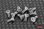 Flat Head Cap Schrauben M2.5 x 6mm (10 Stk.)