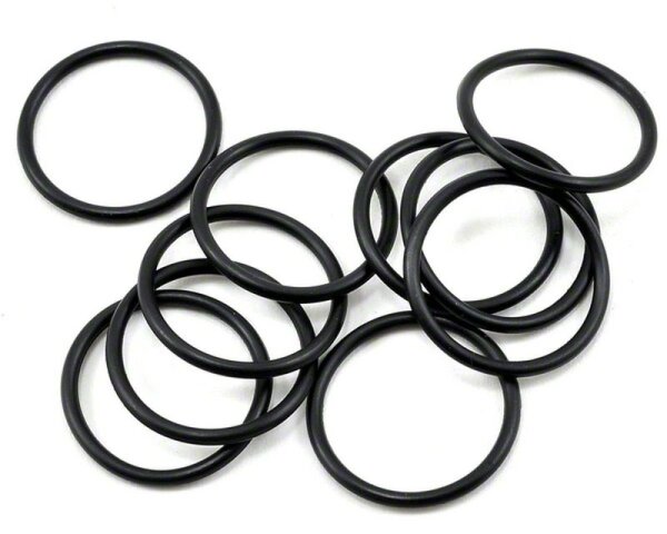 O-Ring S-18 (10)