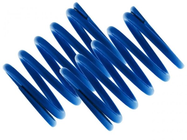 Dämpfer-Federn VA blau 1.8  MTX